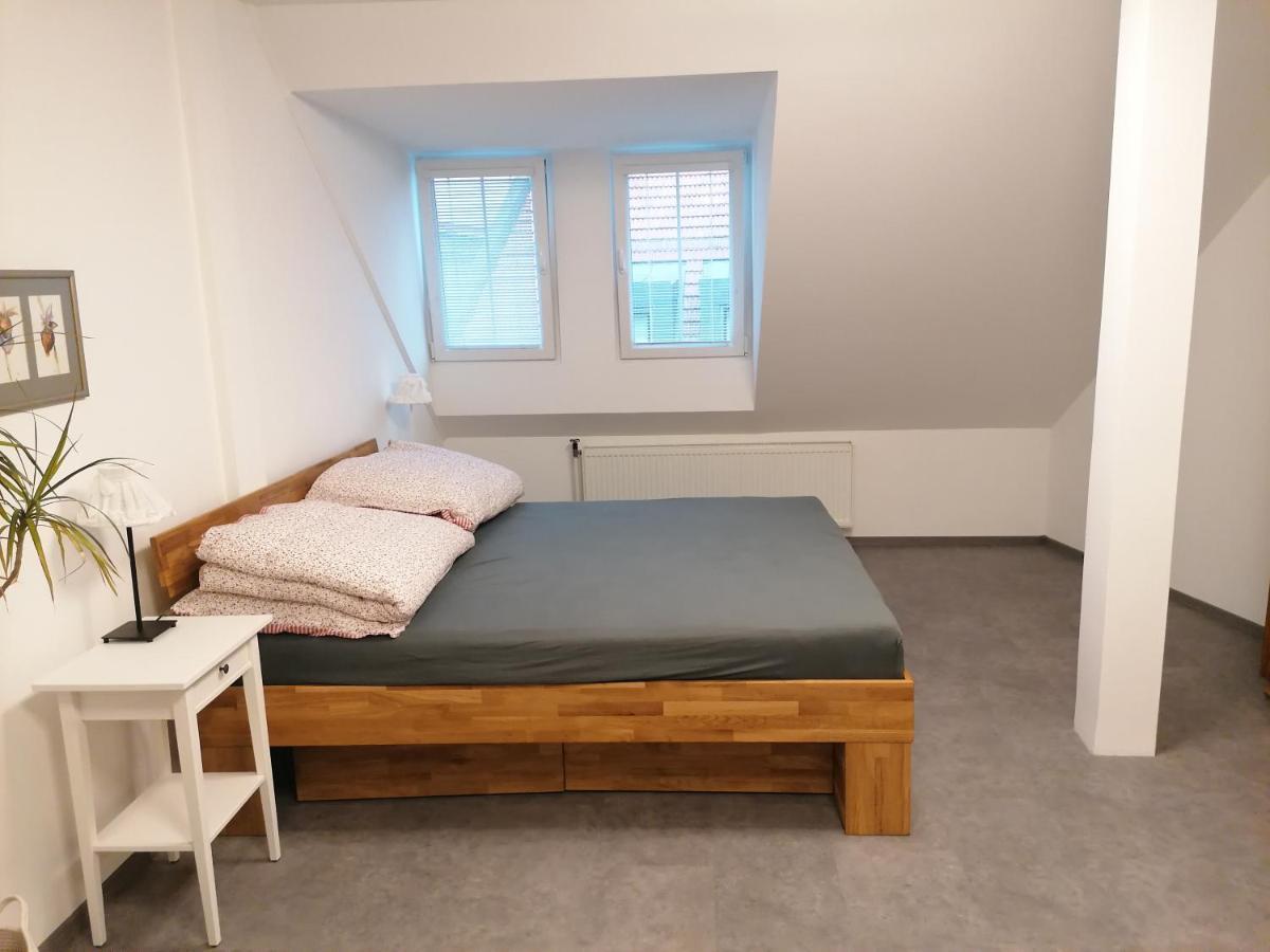 利托米什尔Apartman U Zoubku公寓 外观 照片
